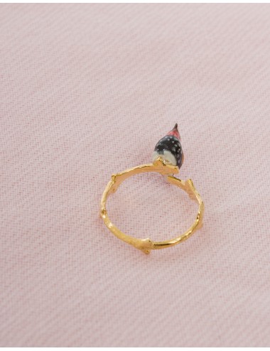 Anillo pájaro pinzón