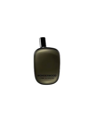 EAU  PARFUM WONDERWOOD 100ML